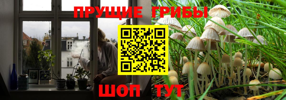 Ступино  Псилоцибиновые грибы Psilocybine cubensis  где найти наркотики  Вход с VPN 